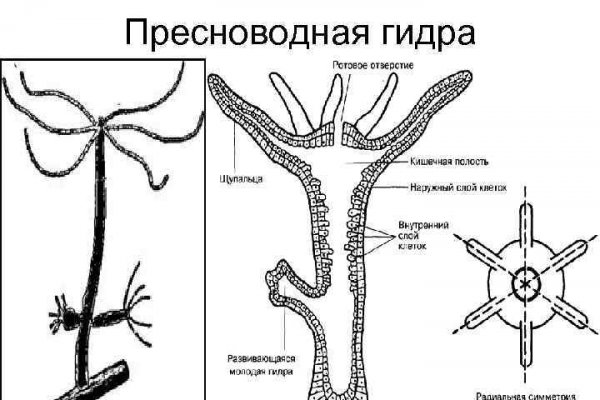 Вывести деньги с кракена