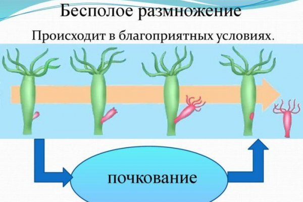 Кракен сайт работает