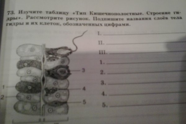 Kra9.cc