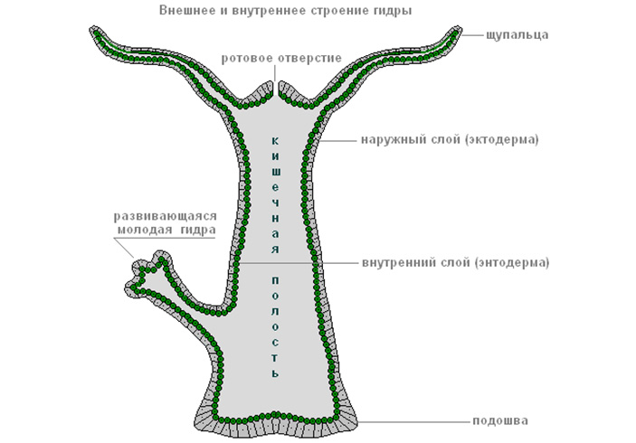 Kraken вывод денег